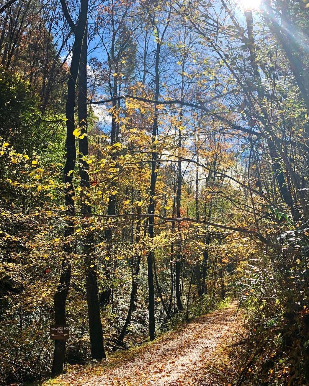 Horseshoe Hideaway Sevierville Ngoại thất bức ảnh